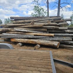Fire Wood