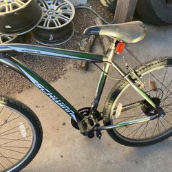 Trail Bike