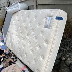 Free Queen Dream Sleeper Mattress