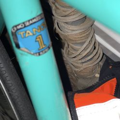 Georgena Terry Dispatch