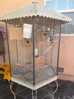 Bird cage  🕊️🕊️