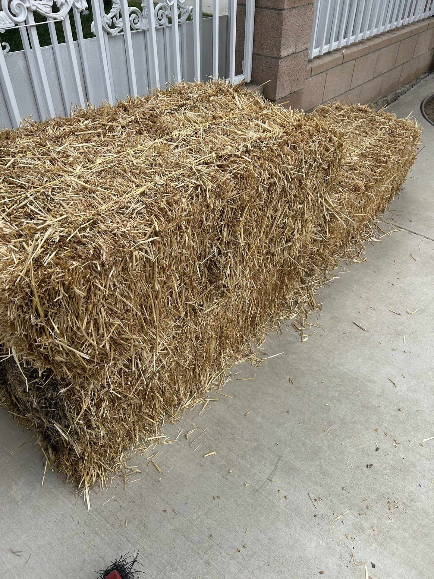 Hay For Free