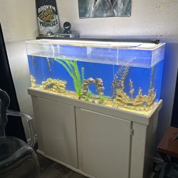 54 Gallon Acrylic Tank $100