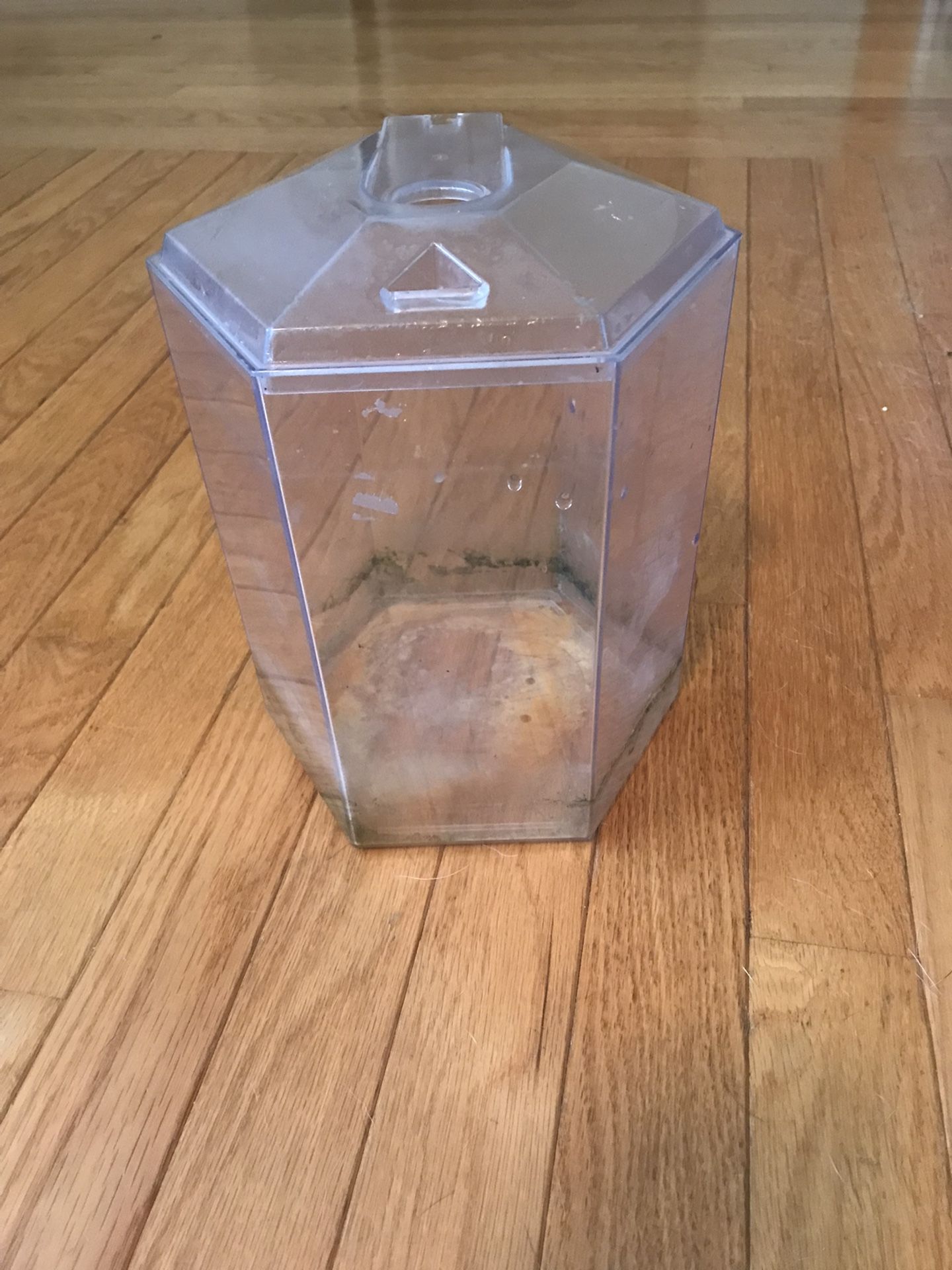 Fish Tank/Frog Tank