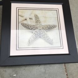 Waiting Room Beach House Sea star Decor