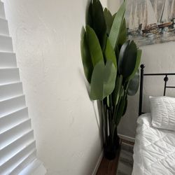 Fake Plants