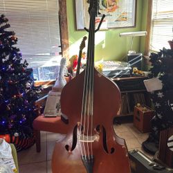 Toloche Upright Bass