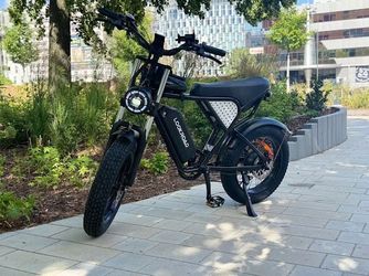 Lookroad Q30 20” Fat Tire Electric Bike Peak 1200W 48V 20Ah Removable Battery