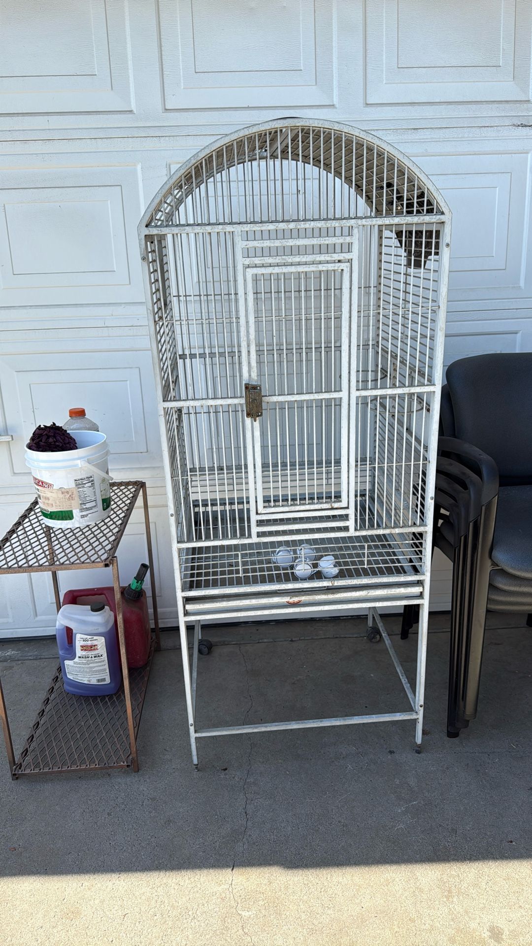 Bird Cage