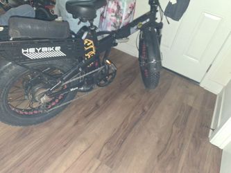 Ebike
