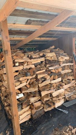 Firewood from last year