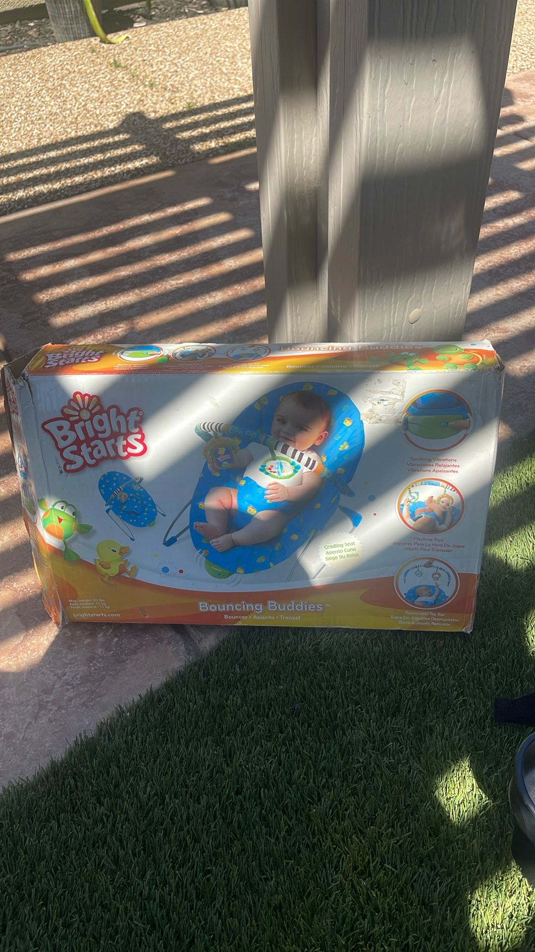 Bouncer For Infants