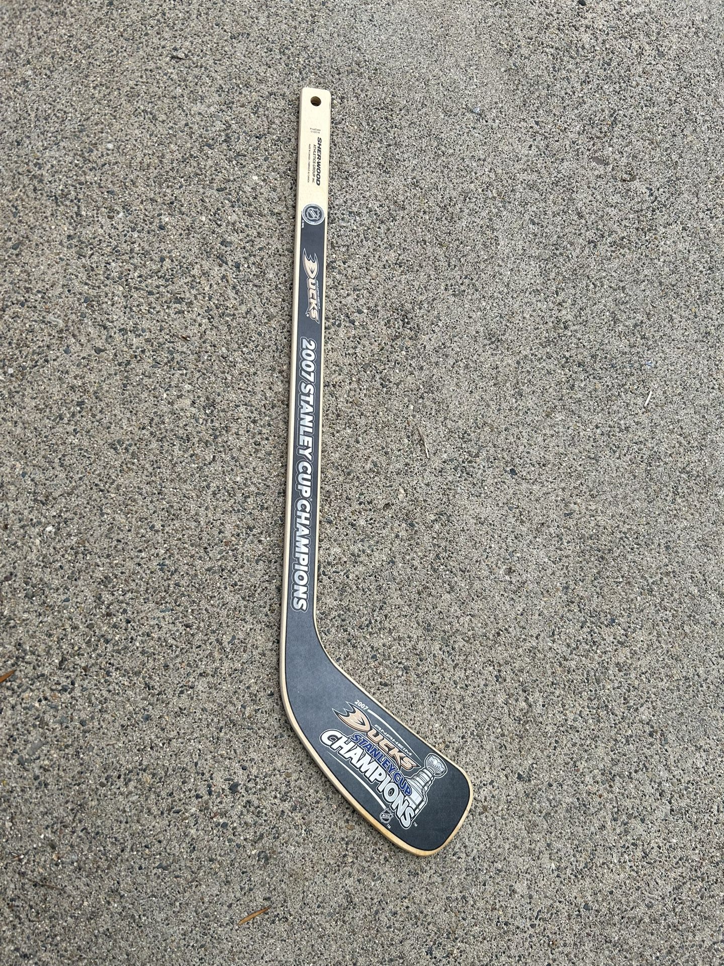 Anaheim Ducks