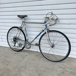 Raleigh Road Bike
