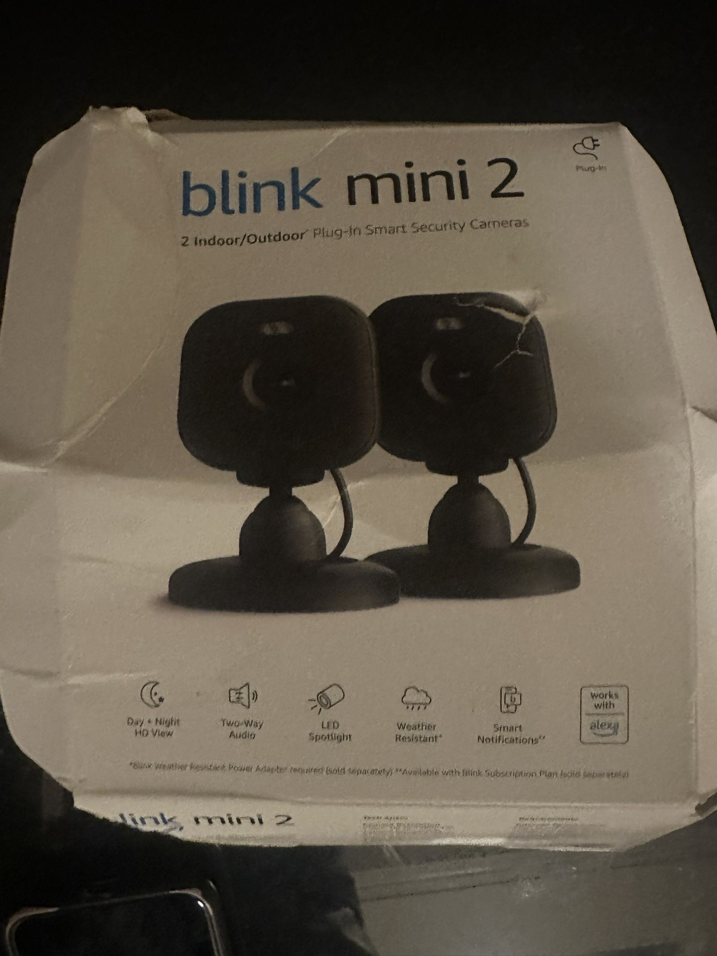 Mini Blink cameras