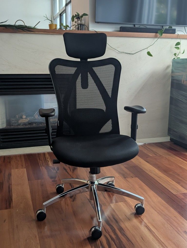 Ergonomic Office Chair - Gently Used