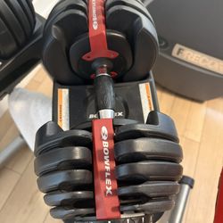 Adjustable Dumbbells Bowflex Selecttech 552