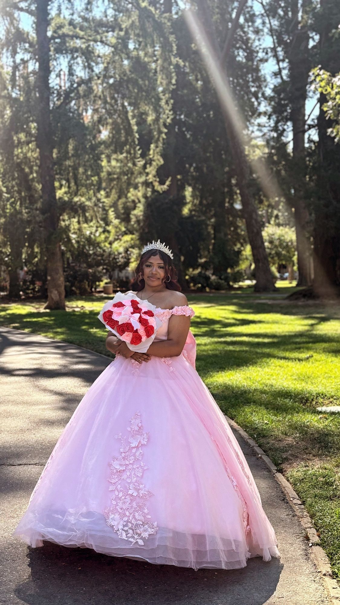 Pink Quinceañera Dress 