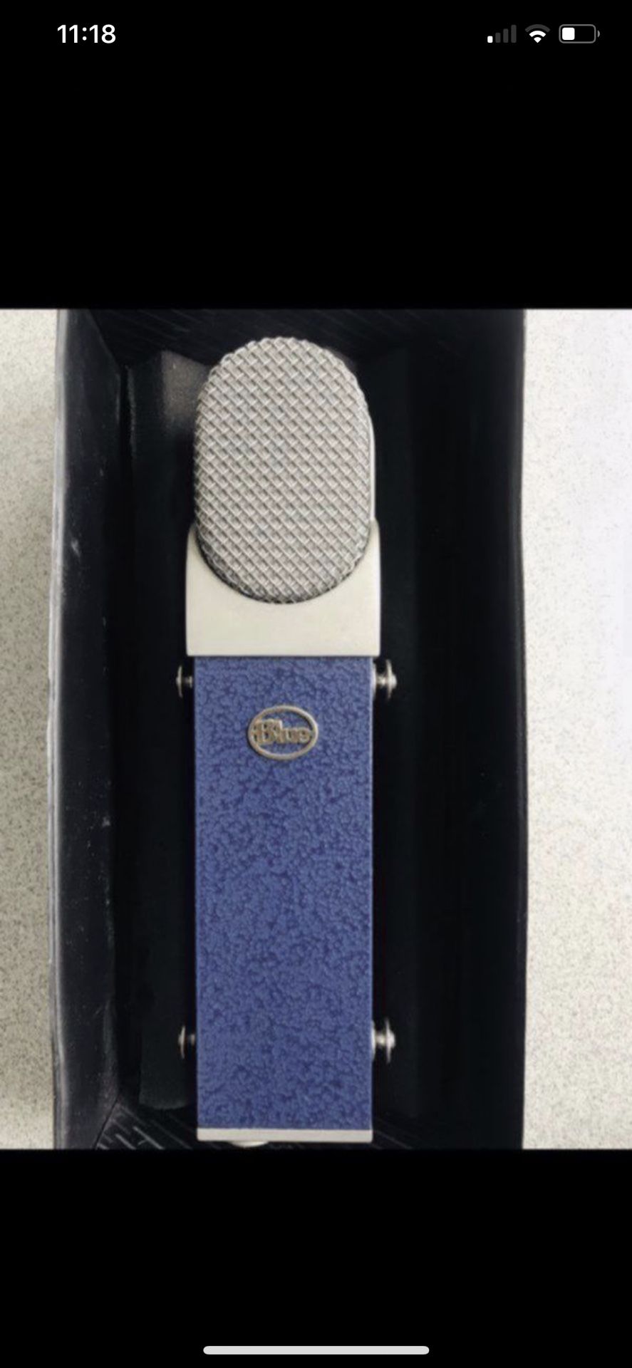 Blueberry Cardioid Vocal Recording Microphone