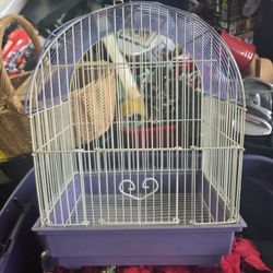 Bird Cage