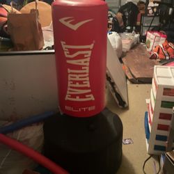 Everlast Stand Punching Bag