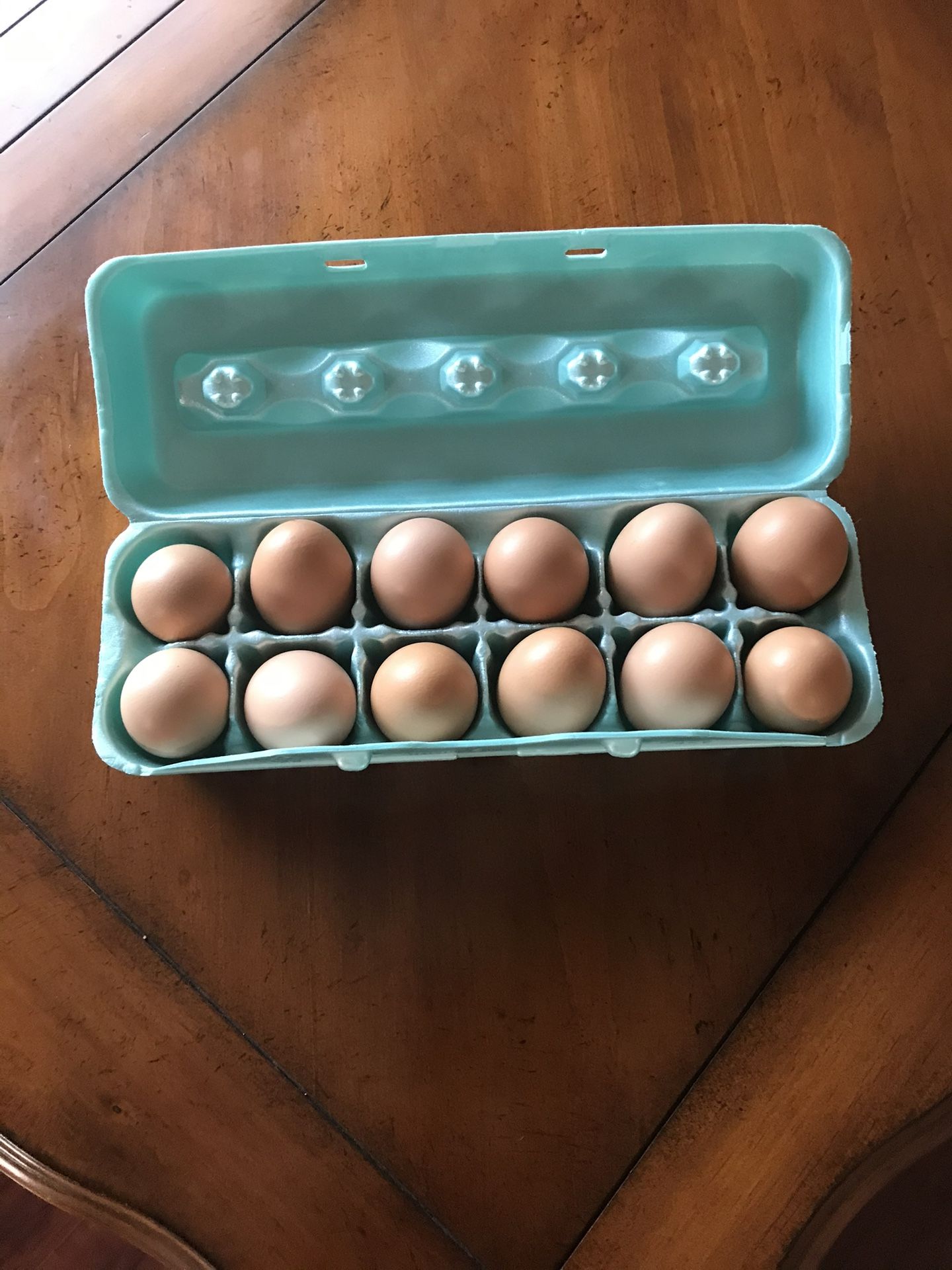 Fresh Eggs