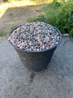 rocks