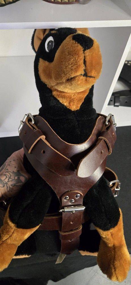 Dog Harness