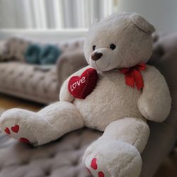 Big Teddy Bear 