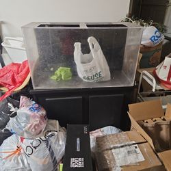 75 Gallon Acrylic With Built In Overflow