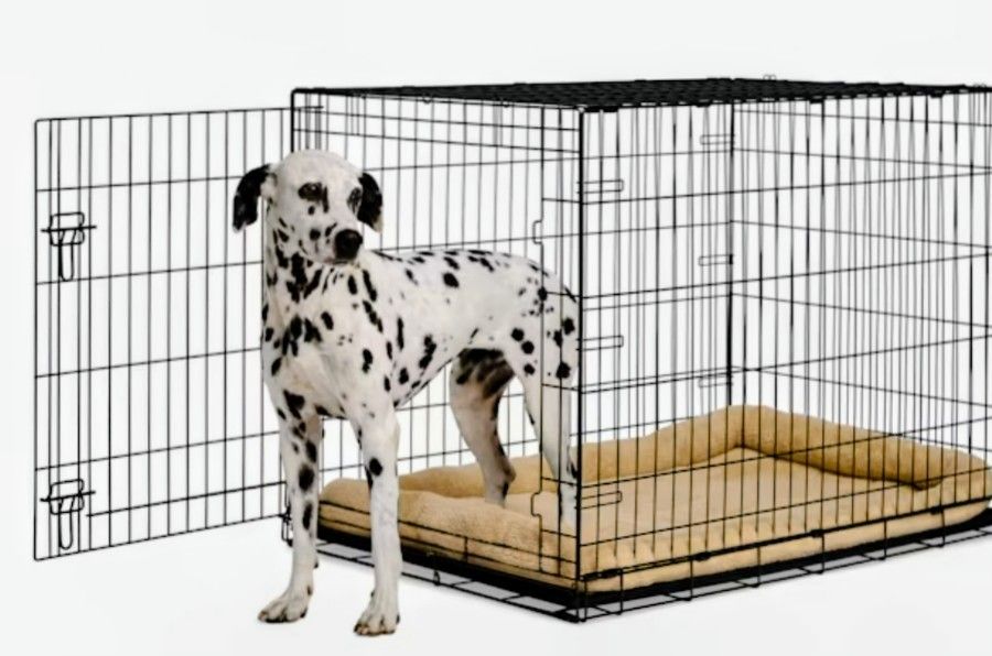 Xlg Dog Crate