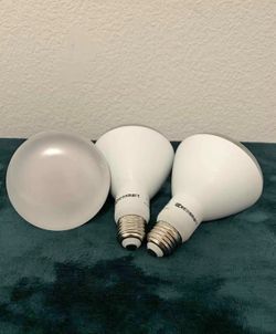 EcoSmart LED Flood Light Bulbs