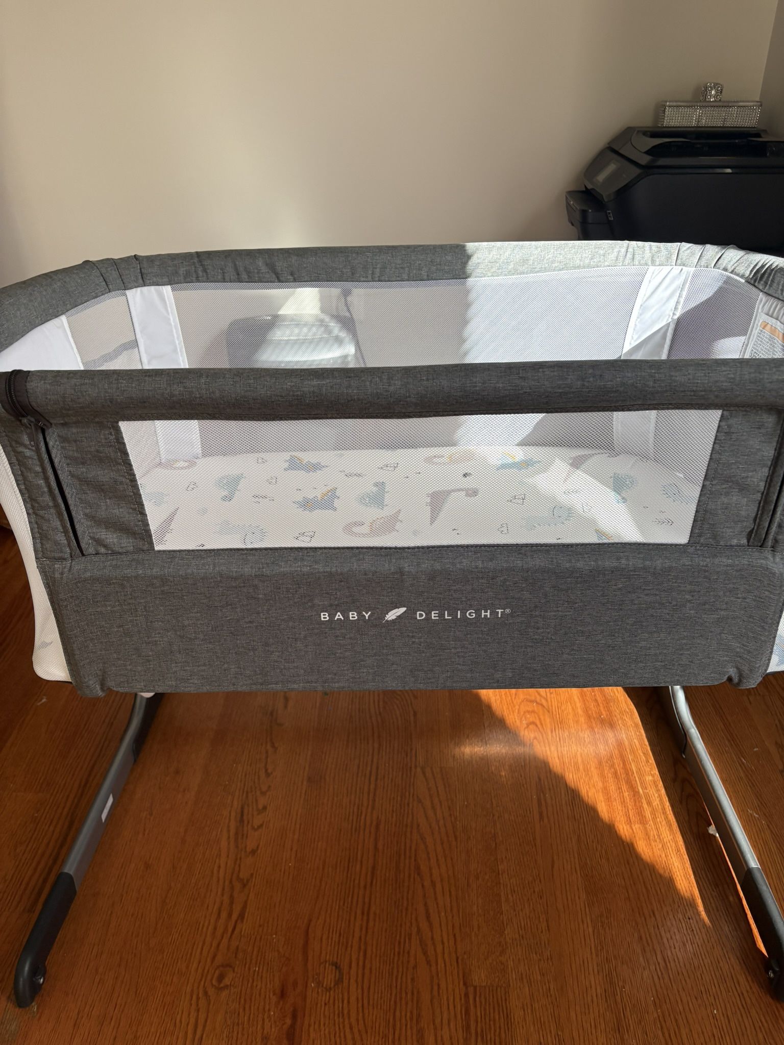 Baby delight Bassinet 