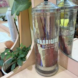 Salon/barber brush disinfectant container