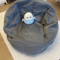 Big Joe Bean Bag Chair