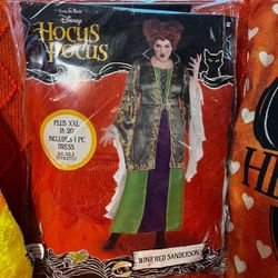 Hocus Pocus Costume