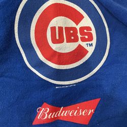 2 Chicago Cubs Towels 