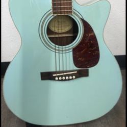 Feder B Guitar 