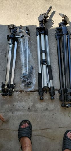 Tripots