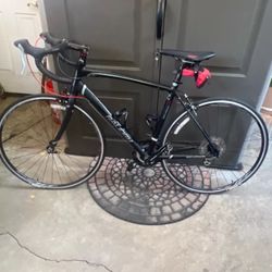 Raleigh Speed Bike