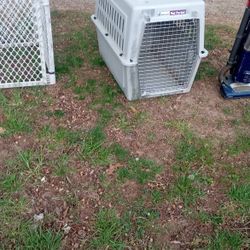 Dog Crate
