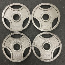 Fitness Gear Olympic Weight Plates (10#x2=$20)
