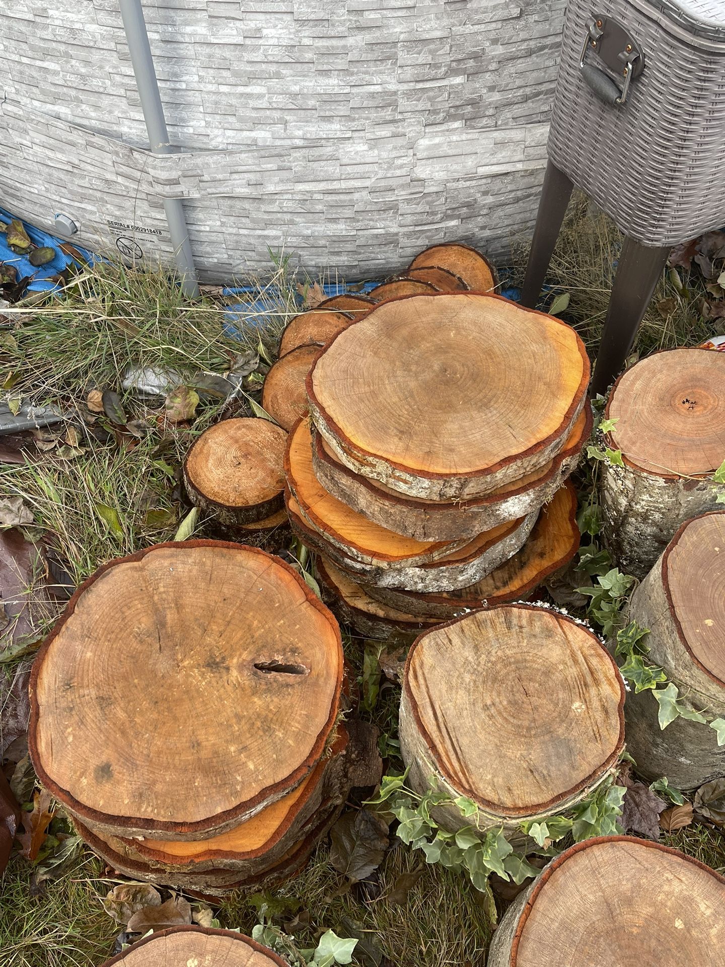 Wood Rounds Used For Wedding Centerpieces And Down The Aisle