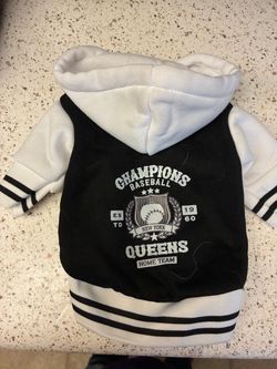 adorable bundle of dog clothes