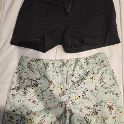 Loft Shorts 