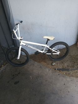 20 inch eastern( paydirt)
