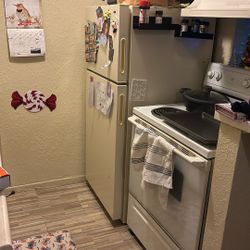 Great Working Fridge 