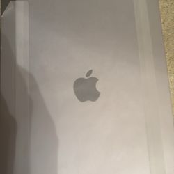 iPad Air 2025 256 Gb WiFi And Cellular 