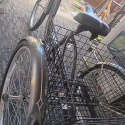 Adult Schwinn 16" tricycle