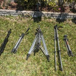 4 Tripods and a Microphone Tripod